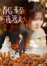 Chun Xin Bu Zhi Ye Ying Lai Chinese Drama photo