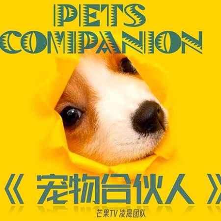 Pets Companion ()