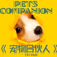 Pets Companion Chinese TV Program(0000) photo
