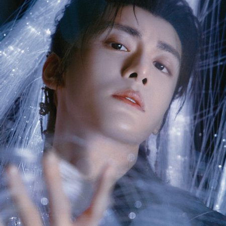 Veil of Shadows (2026)