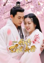 Destined Love Chinese Drama photo