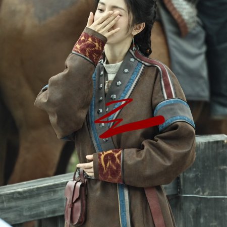 Northern Wei Dynasty ()