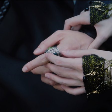 Veil of Shadows (2026)