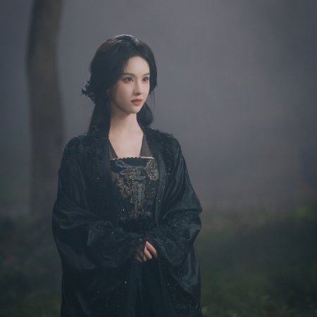 Veil of Shadows (2026)
