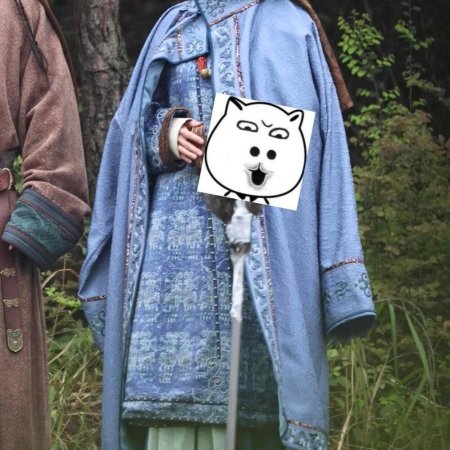 Northern Wei Dynasty ()