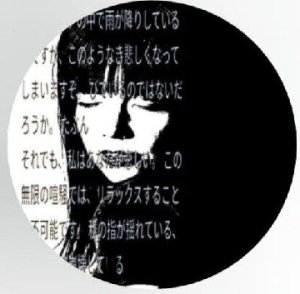 16086012