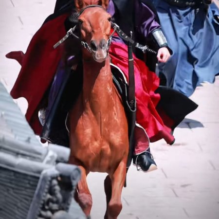 The Palace Stewardess ()