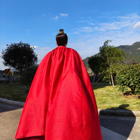 The Vendetta of An (2025)