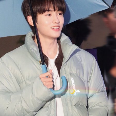 Sunshine through the Rain ()