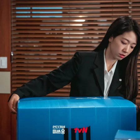 Undercover Miss Hong (2026)