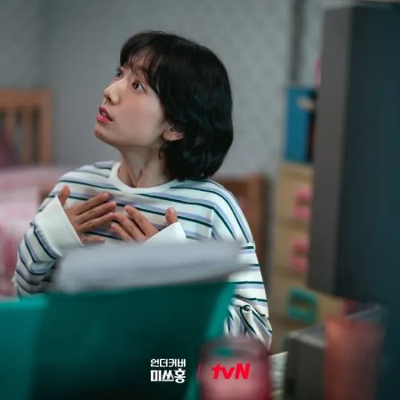 Undercover Miss Hong (2026)