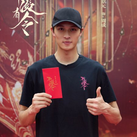 The Princess Decree (2025)