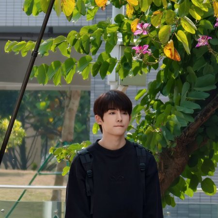 Sunshine through the Rain ()