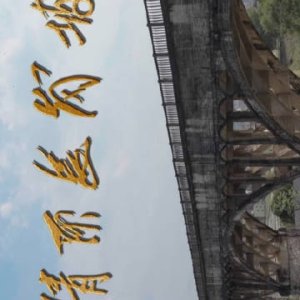 Qing Ding Zhang Gang Po (2025)