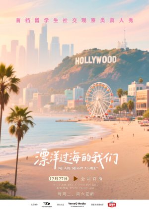We Are Meant to Meet (2025) poster