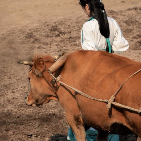 Where the Mask Ends ()