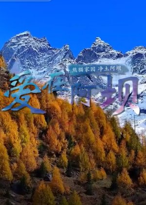 Ai Zai A Ba poster
