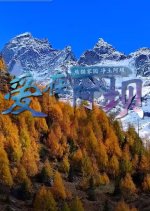 Ai Zai A Ba Chinese Drama photo