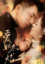Ai Ru Dong Yan Chinese Drama(2025) photo