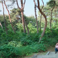 Second Shot at Love Korean Drama photo