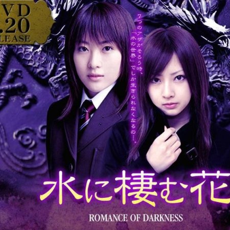 Kamisama no Boto  (2013)