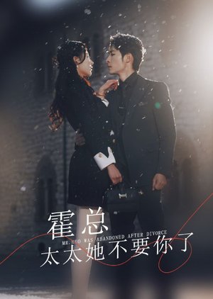 Mr. Huo Was Abandoned after Divorce (2024) poster