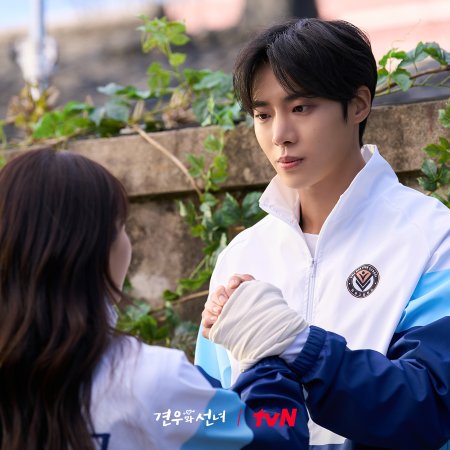 Head over Heels (2025)