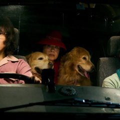 Route 29 Japanese Movie photo