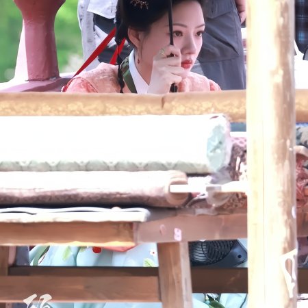 Liang Chen Mei Jin ()