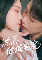 Shen Zong Ta Pian Yao Chong Chinese Drama(2025) photo