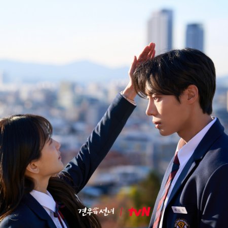 Head over Heels (2025)