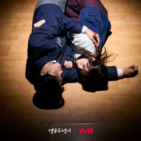 Head over Heels (2025)