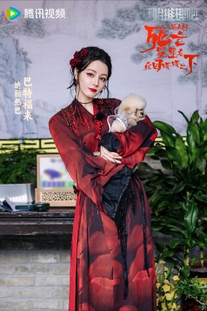 Birdlady