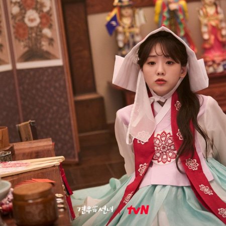 Head over Heels (2025)