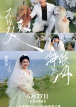 Summer Waves and You Chinese Drama(2025) photo