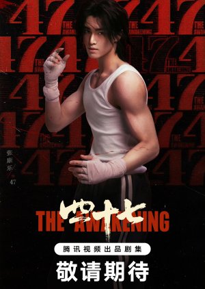 The Awakening (0000) poster