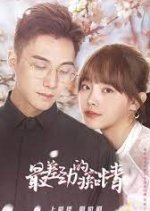 Zui Cha Jing De Chi Qing Chinese Drama photo