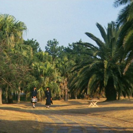 Shonan Bakuso Zoku (1987)