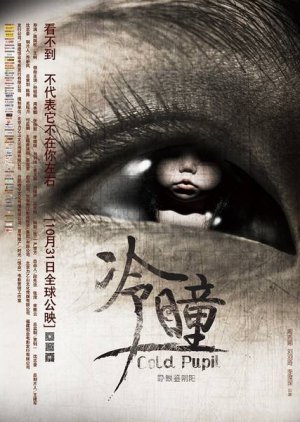 Cold Pupil (2013) poster