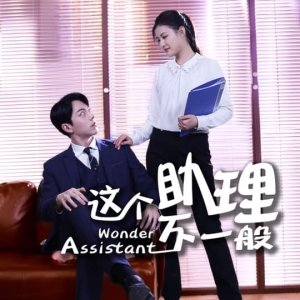 Wonder Assistant (2020)