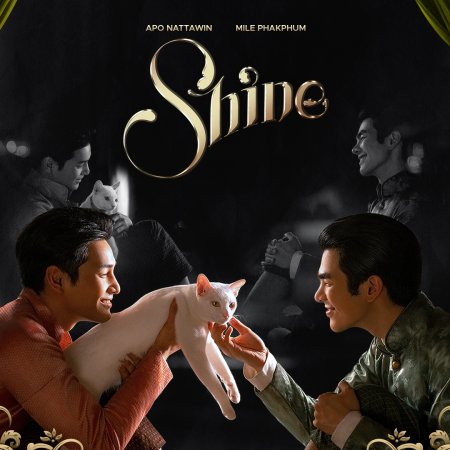 Shine ()