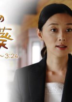 Saihate no Himawari Japanese Drama photo