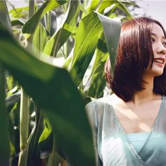 The Cornfield Chinese Movie photo