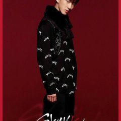 Stray Kids Korean TV Program photo