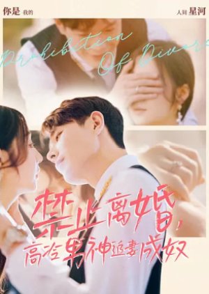 Prohibition of Divorce (2024) poster