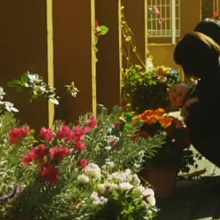 Soil (2010)
