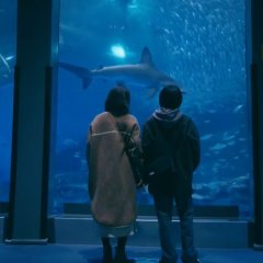 Shijukara Japanese Drama photo