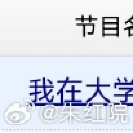 Wo Zai Da Xue Xiu Wen Wu ()