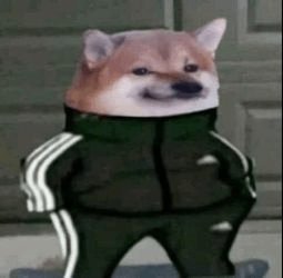 Metamasker