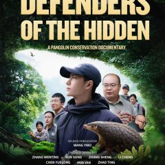 Defenders of the Hidden Chinese TV Program photo